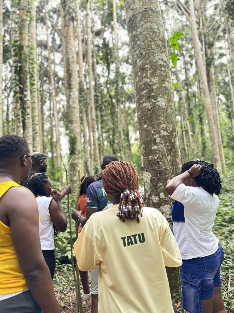 Forests of the Sese Islands
