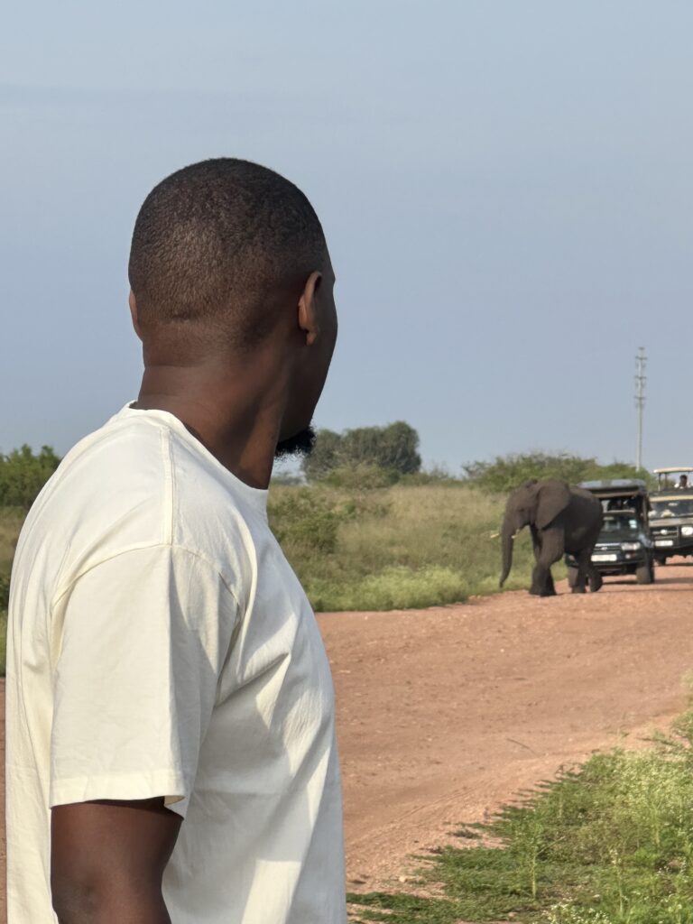 Elephants in Queen Elizabeth National Park