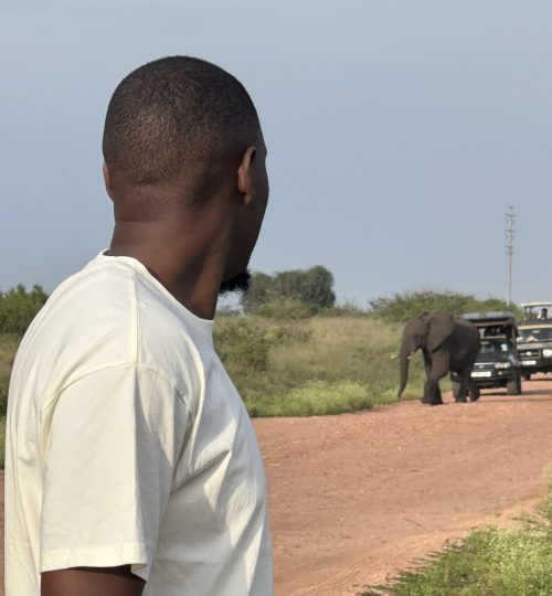 Elephants in Queen Elizabeth National Park